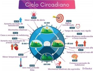 Como Funciona O Ciclo Circadiano Blog Do Dr Barakat